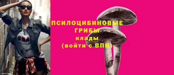 мдпв Медногорск